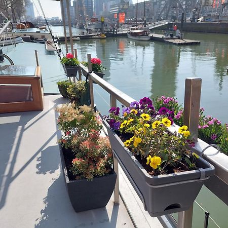 Rooms On Water Rotterdam Zewnętrze zdjęcie