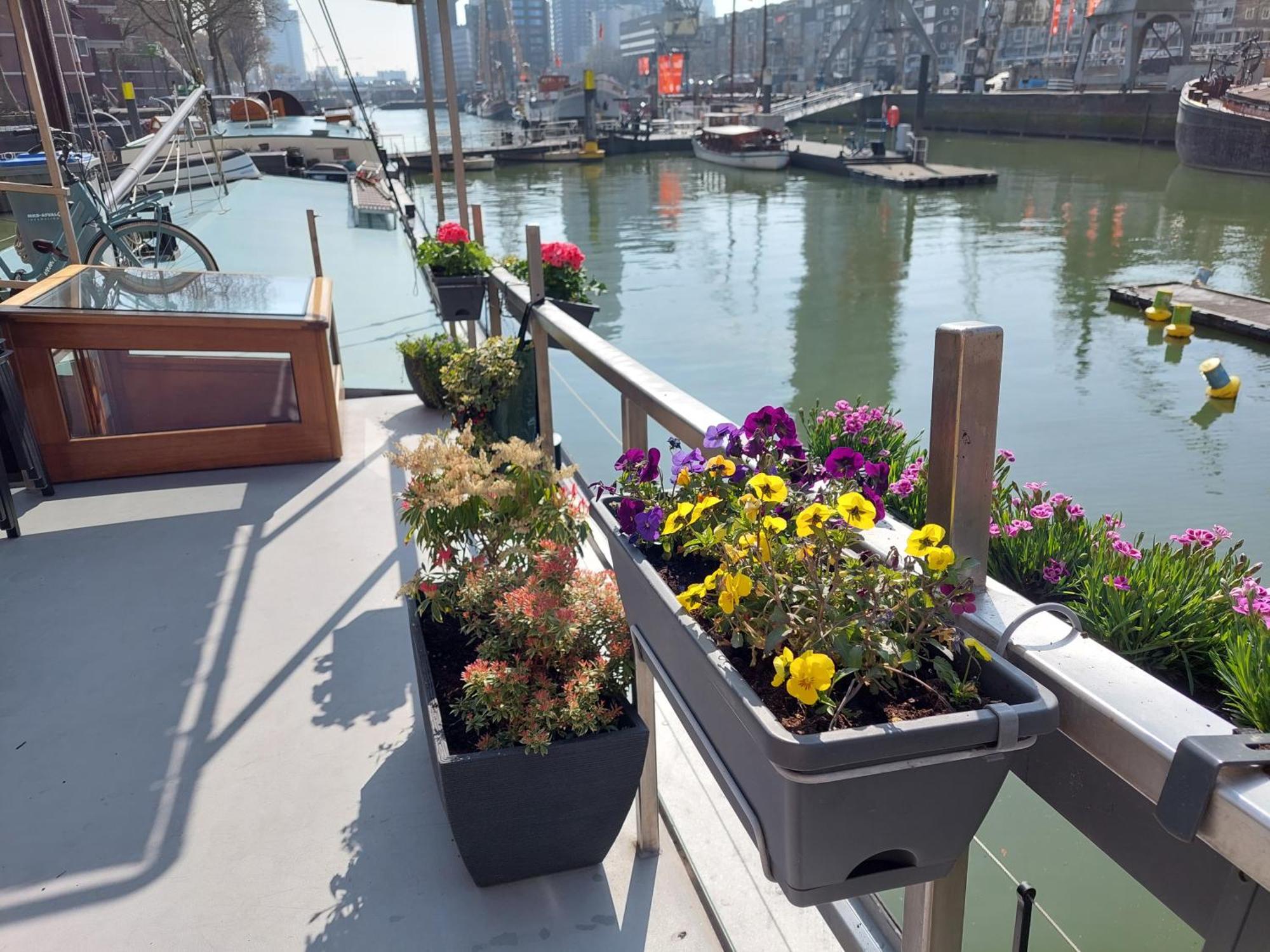 Rooms On Water Rotterdam Zewnętrze zdjęcie